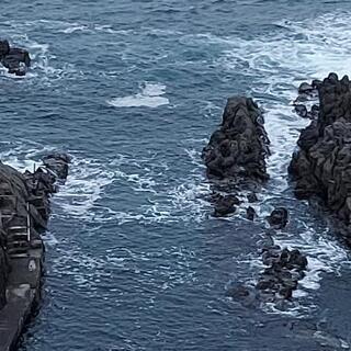 曰く付きもらいます。(人形、写真)視ます。