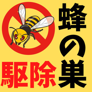 【6,600円〜】蜂の巣の駆除🐝《愛知県全域対応》