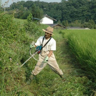 草刈り　支障木の伐採行います！！！！