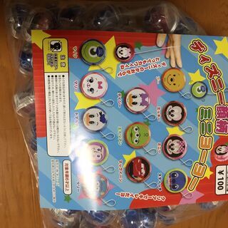 ガチャガチャとカプセル2種類付き