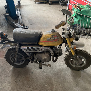 モンキーの画像