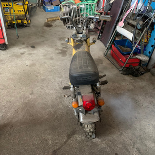 モンキーの画像