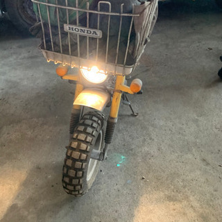 モンキーの画像