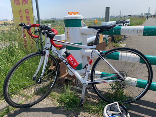 FELT Z100 フェルト　サイズ510 今週限値下げ