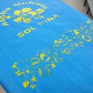ボディボード 長さ80cm Aloha Mahalo ブルー ☆  札幌市 北区 屯田の画像