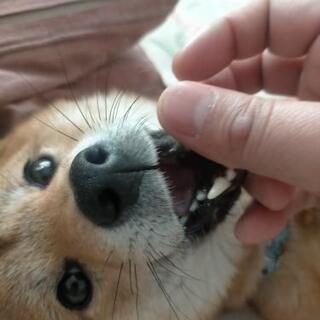 勉強教えます。