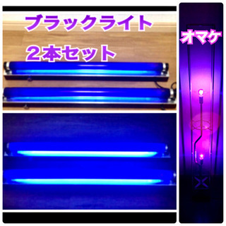 【引越し処分】値下！3.5千→3千 ブラックライト FL20SB...