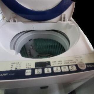 SHARP 洗濯機 5.5kg 実働  5月の25、26日  6月1日のどれかに取りに来ていただける方限定 あげますの画像
