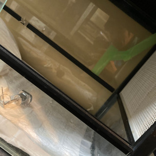 爬虫類の飼育に　ケースバイケース60 (中古品)無料であげますの画像