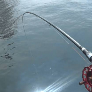 一緒に釣りしましょ🎣
