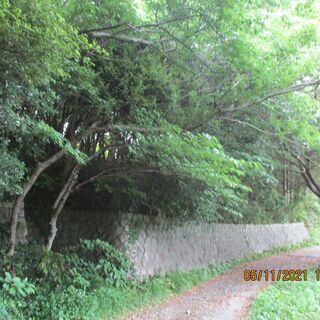 530売土地志摩市阿児町国府370万円国府白浜に近い土地管理費不...