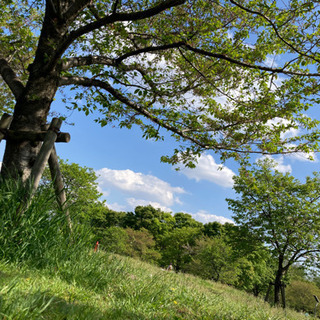 ☀️5/15(土) 🌳舎人公園でピクニック🍙