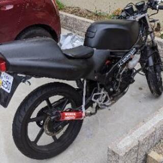 【⠀決まりました】NS-1 50cc