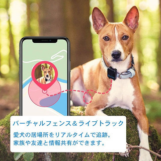 トラクティブ　3g