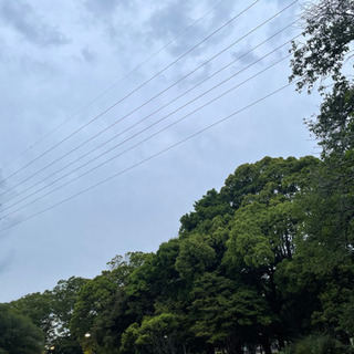 5/19(水)駒沢公園×平日夜のお散歩会 - 世田谷区