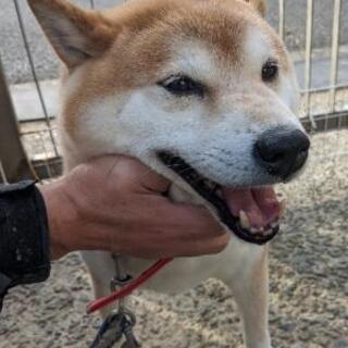 上級者向き。 − 福島県