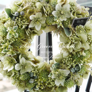 再入荷‼️セージのグリーンリースの画像