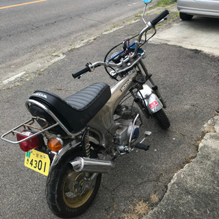 アメリカンダックス50