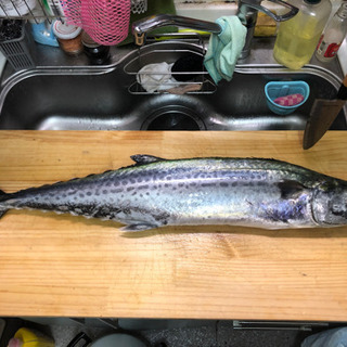釣り仲間募集してます🐟🐟 - 友達