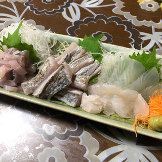 釣り仲間募集してます🐟🐟 - メンバー募集