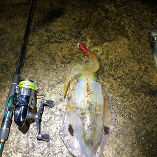釣り仲間募集してます🐟🐟 - 福島市