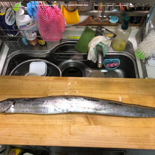 釣り仲間募集してます🐟🐟 − 福島県