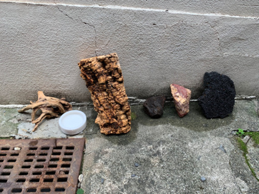 爬虫類飼育セット