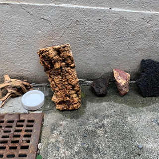 爬虫類飼育セットの画像