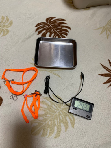 爬虫類飼育セット