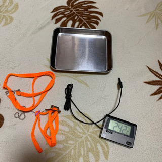 爬虫類飼育セットの画像