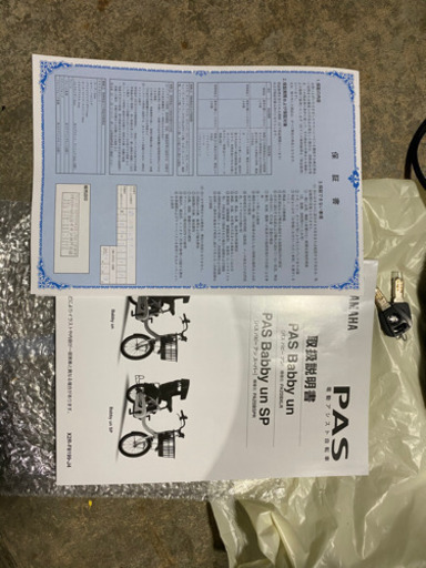 電動自転車チャイルドシート付きイオン限定カラー