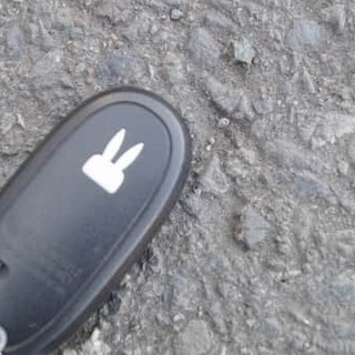 かわいいアルトラパンを自社ローンで手に入れよう°˖✧◝(⁰▿⁰)◜✧˖°の画像