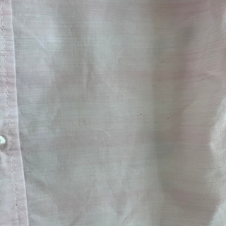 POLO ワイシャツの画像