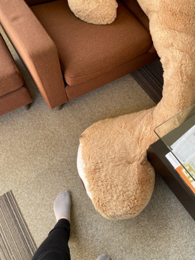 クマの人形!!最終値下げします。