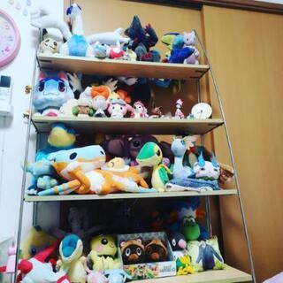茨城県内で趣味の合う女の子の友達募集！ - メンバー募集