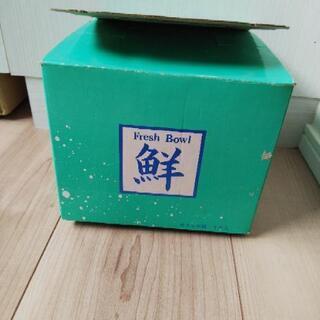ガラス鉢の画像