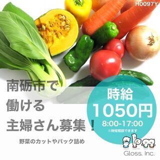 【南砺市】時短も相談可！時給1050円・軽作業・野菜カットや加工...