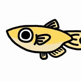 毎月第3土曜日はメダカマルシェの日(^^♪
