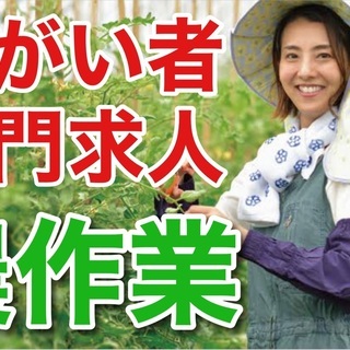 障がい者専門求人／車のコーティング・洗車※精神障害者の方の転職の相談に、 当社の代表がお答えします。の画像