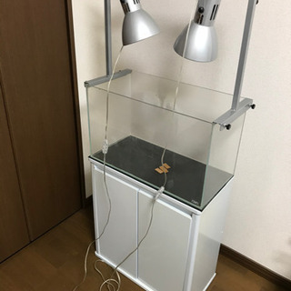 ６０㎝水槽　セット