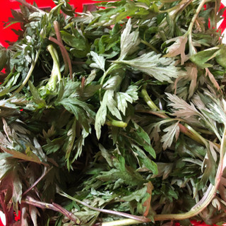 よもぎ　天然　500g