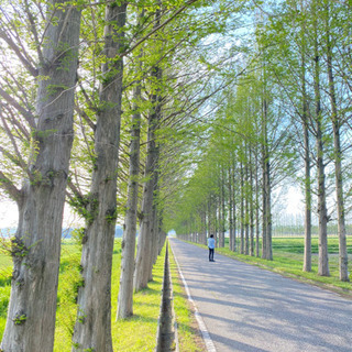 ランニング、ウォーキング、写真、運動好きな方募集中〜 − 石川県