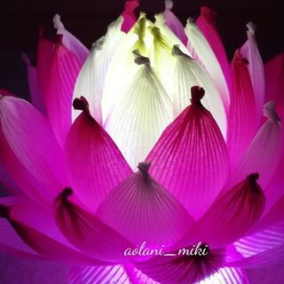 紙で作る蓮の花～ハスワーク～