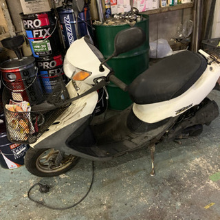 【取引先決定しました】ホンダ　ライブディオの画像