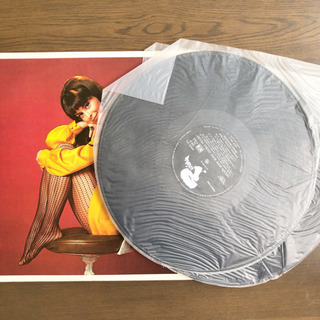 レーモン・ルフェーブル - ゴールデン・ヤング・ムード ダブルデラックス LP レコードの画像