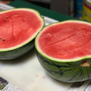 熊本植木スイカ　2L〜4L サイズ‼️一律3000円‼️