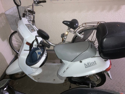 ヤマハ　ミント