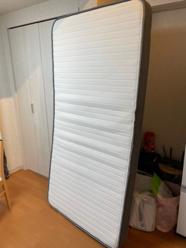 シングル　かため　新しいもの