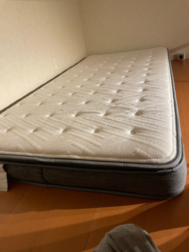 シングル　かため　新しいもの