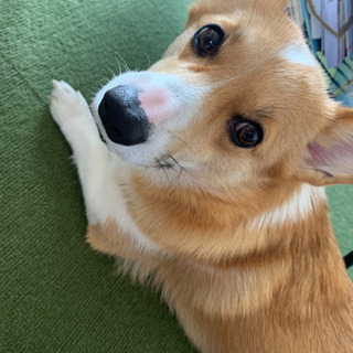 ママ友欲しいです(*'ω'*)